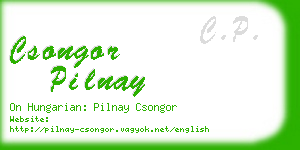 csongor pilnay business card